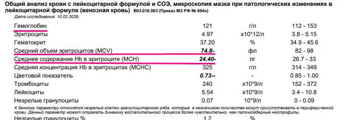 Пример общего анализа крови с пониженными MCV и MCH
