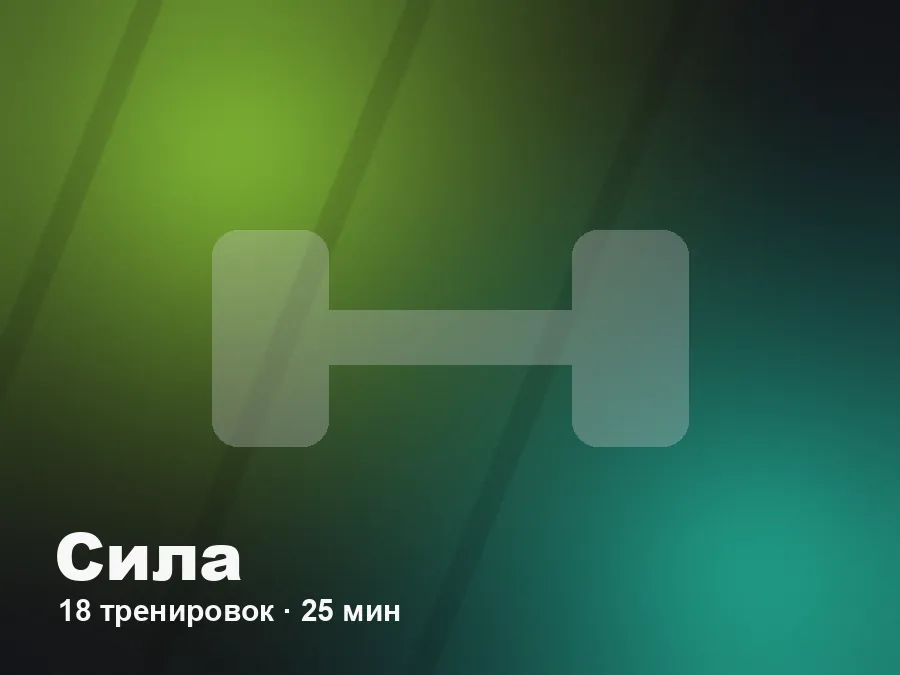 Программа силовых тренировок